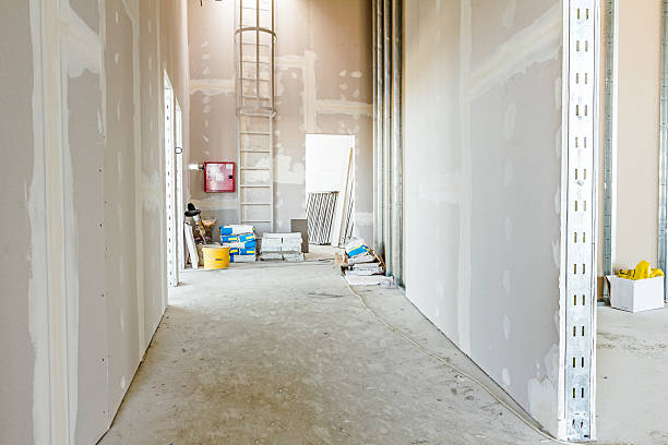Best Post-Construction Mold Inspection  in Bartlesville, OK